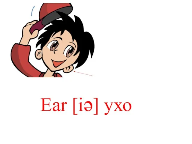 Ear [iə] ухо