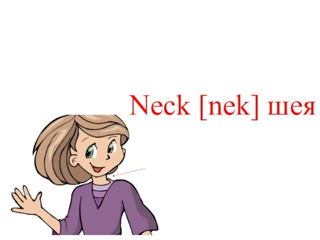 Neck [nek] шея