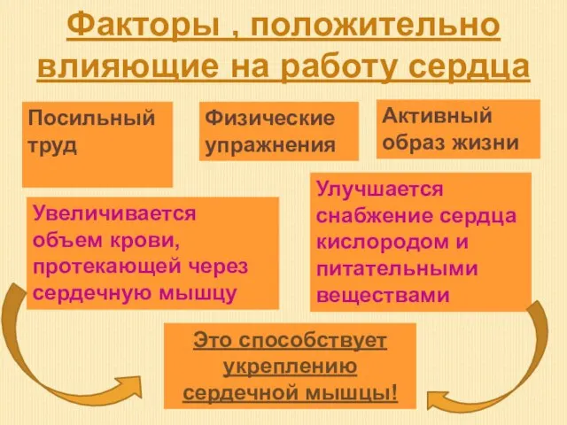 Факторы , положительно влияющие на работу сердца Физические упражнения Активный образ жизни