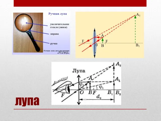 лупа