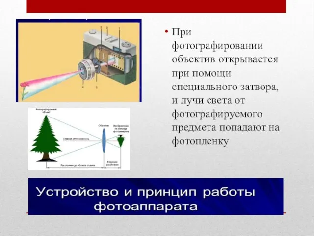 При фотографировании объектив открывается при помощи специального затвора, и лучи света от