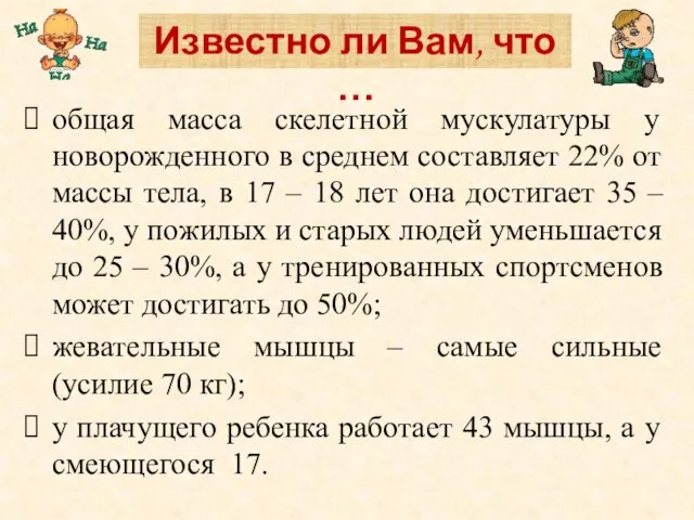 общая масса скелетной мускулатуры у новорожденного в среднем составляет 22% от массы