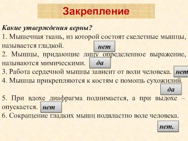 Какие утверждения верны? 1. Мышечная ткань, из которой состоят скелетные мышцы, называется