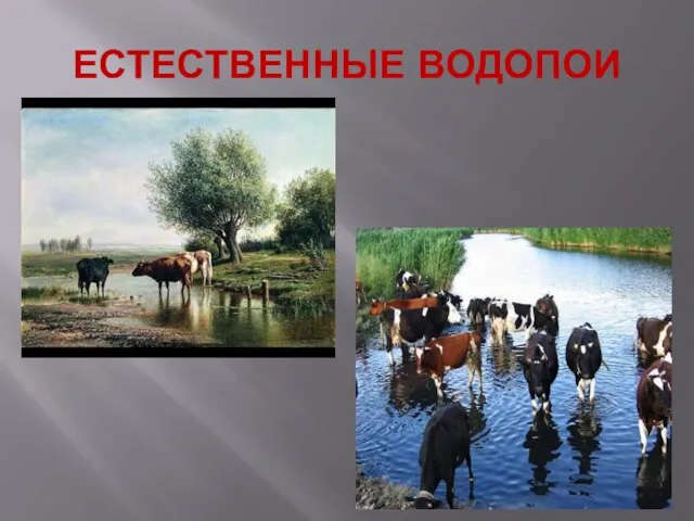 ЕСТЕСТВЕННЫЕ ВОДОПОИ