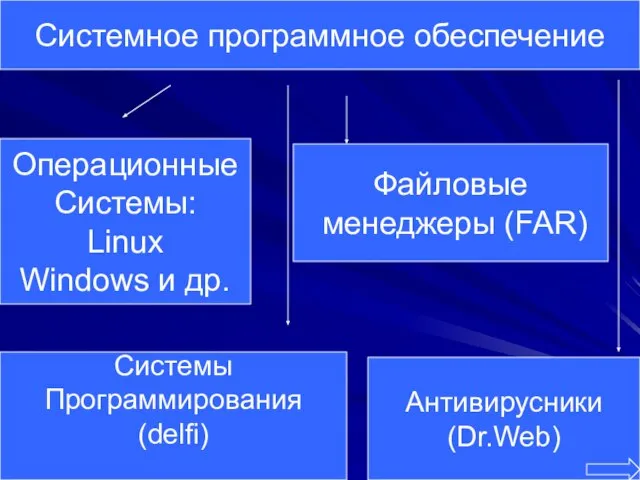 Системное программное обеспечение Операционные Системы: Linux Windows и др. Системы Программирования (delfi)