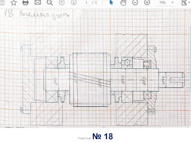 Участник № 18