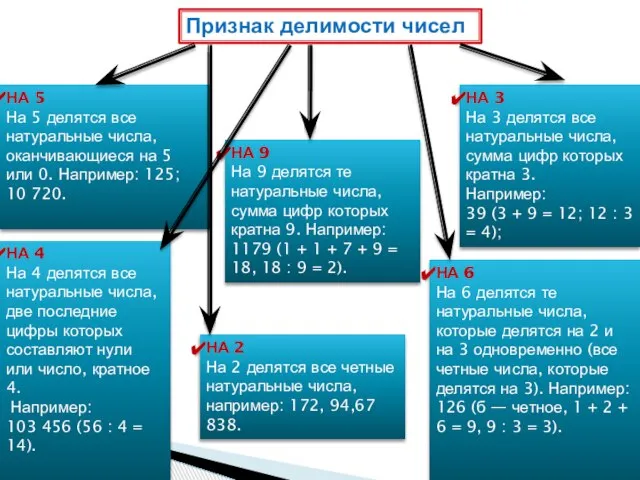 НА 2 На 2 делятся все четные натуральные числа, например: 172, 94,67