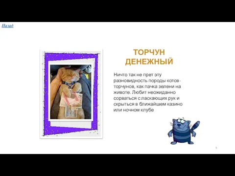 ТОРЧУН ДЕНЕЖНЫЙ Ничто так не прет эту разновидность породы котов-торчунов, как пачка