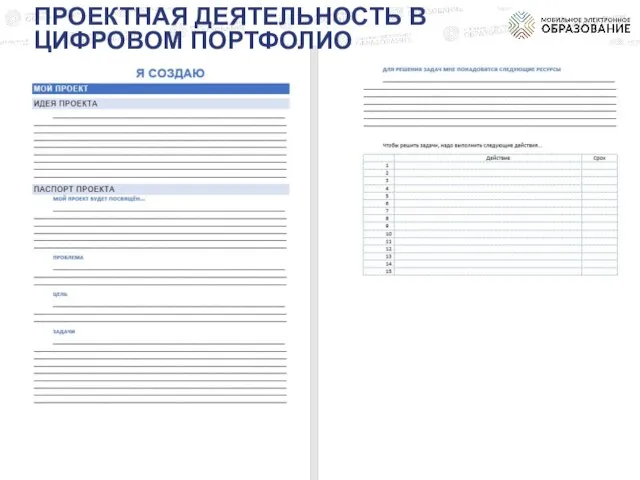 ПРОЕКТНАЯ ДЕЯТЕЛЬНОСТЬ В ЦИФРОВОМ ПОРТФОЛИО
