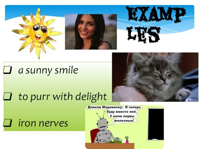 a sunny smile to purr with delight iron nerves Examples