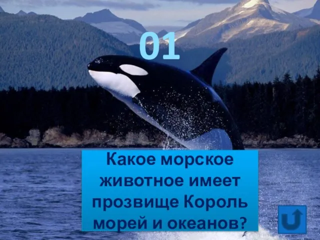 Какое морское животное имеет прозвище Король морей и океанов? 01