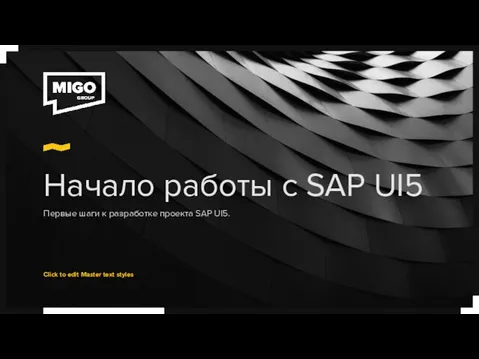 Начало работы с SAP UI5 Первые шаги к разработке проекта SAP UI5.