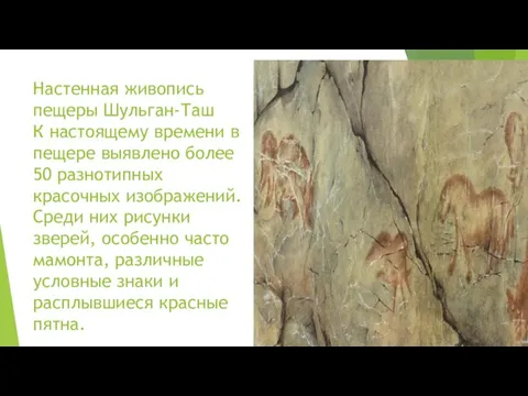 Настенная живопись пещеры Шульган-Таш К настоящему времени в пещере выявлено более 50
