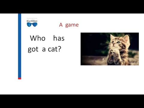 A game Who has got a cat?