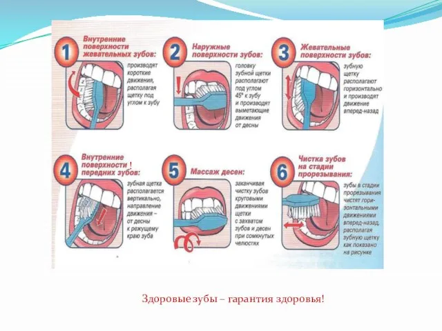 ! Здоровые зубы – гарантия здоровья!