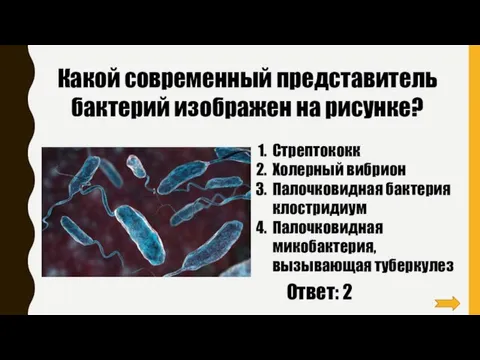 Какой современный представитель бактерий изображен на рисунке? Стрептококк Холерный вибрион Палочковидная бактерия