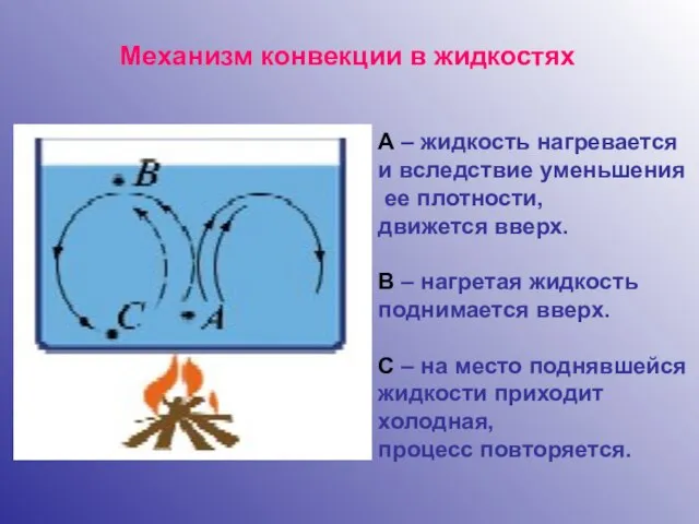 Механизм конвекции в жидкостях А – жидкость нагревается и вследствие уменьшения ее