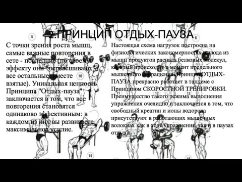 2.ПРИНЦИП ОТДЫХ-ПАУЗА С точки зрения роста мышц, самые важные повторения в сете