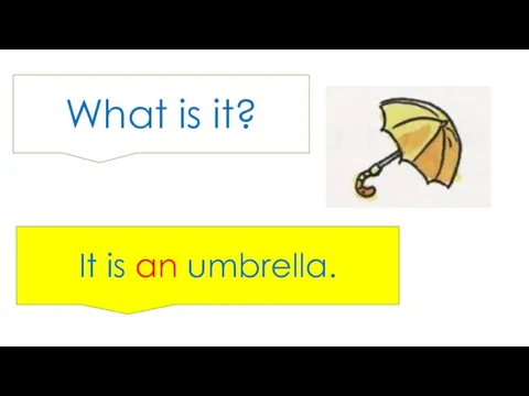What is it? It is an umbrella.