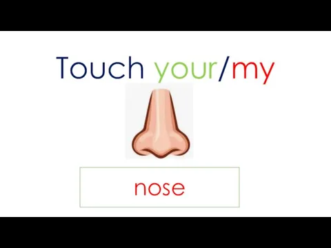 Touch your/my nose