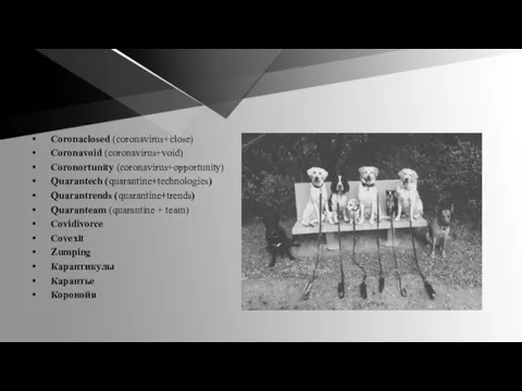 Coronaclosed (coronavirus+close) Coronavoid (coronavirus+void) Coronortunity (coronavirus+opportunity) Quarantech (quarantine+technologies) Quarantrends (quarantine+trends) Quaranteam (quarantine