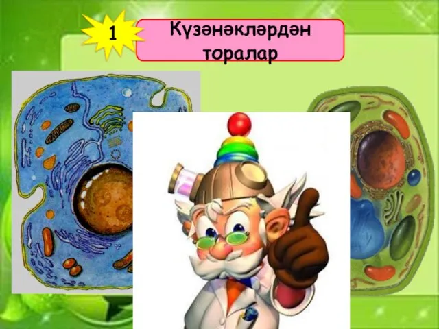 Күзәнәкләрдән торалар 1