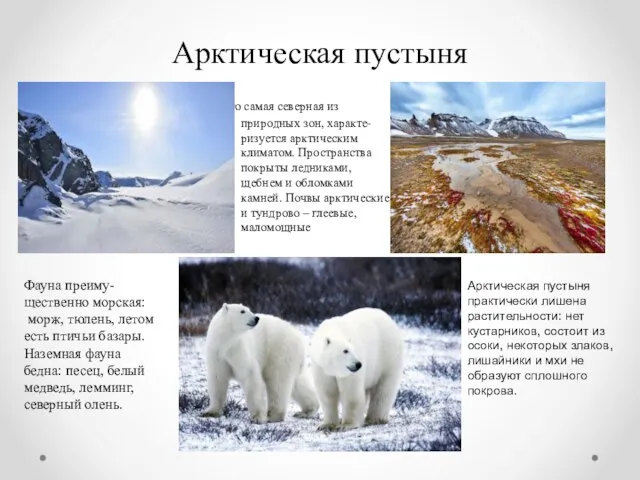 Арктическая пустыня Это самая северная из природных зон, характе- ризуется арктическим климатом.