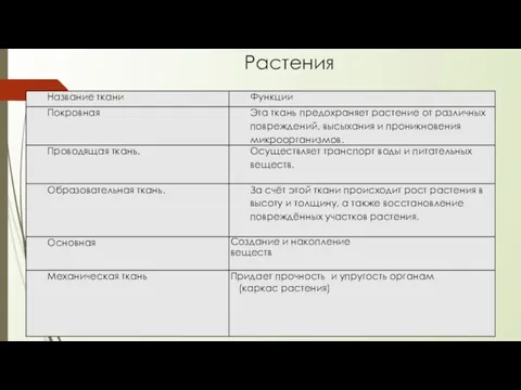 Растения