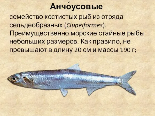 Анчо́усовые семейство костистых рыб из отряда сельдеобразных (Clupeiformes). Преимущественно морские стайные рыбы