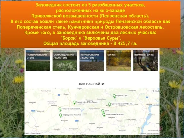 Заповедник состоит из 5 разобщенных участков, расположенных на юго-западе Приволжской возвышенности (Пензенская