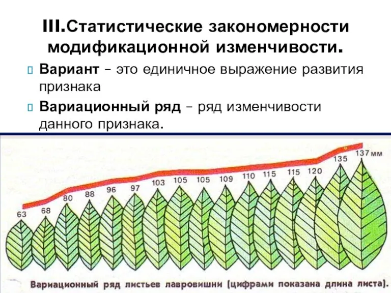 Вариант – это единичное выражение развития признака Вариационный ряд – ряд изменчивости