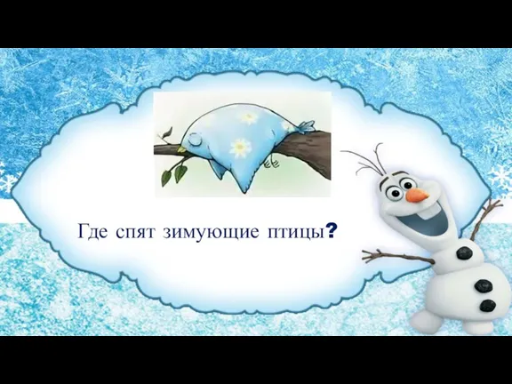 Где спят зимующие птицы?