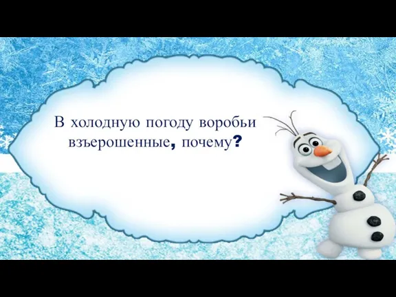 В холодную погоду воробьи взъерошенные, почему?