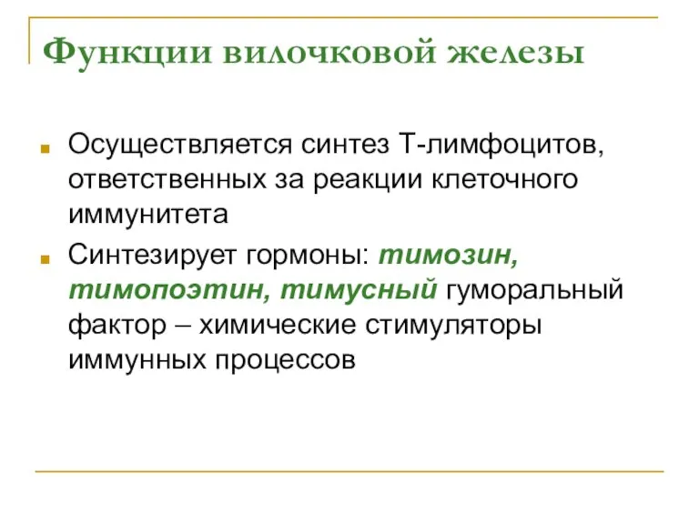 Функции вилочковой железы Осуществляется синтез Т-лимфоцитов, ответственных за реакции клеточного иммунитета Синтезирует