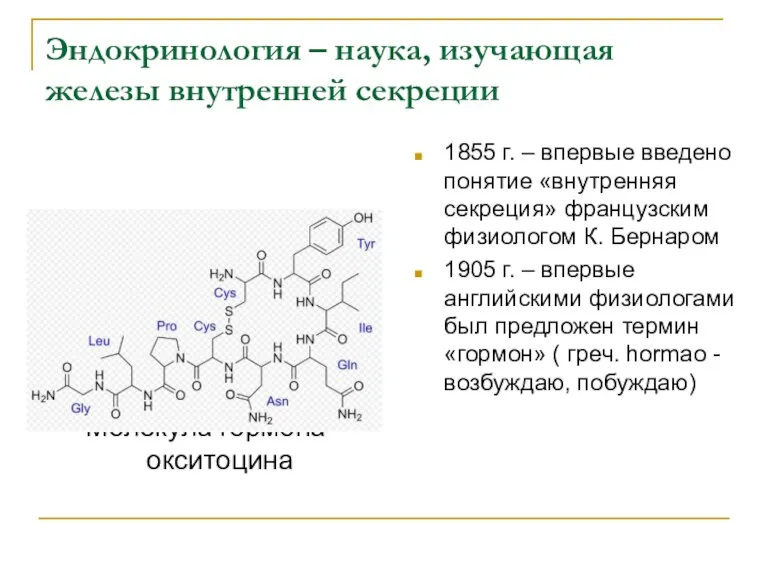 Эндокринология – наука, изучающая железы внутренней секреции Молекула гормона окситоцина 1855 г.