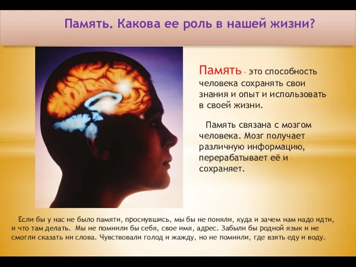 Память. Какова ее роль в нашей жизни? Память – это способность человека