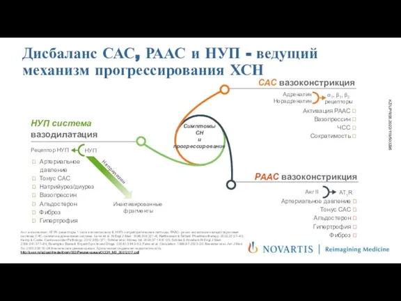 Дисбаланс САС, РААС и НУП - ведущий механизм прогрессирования ХСН РААС вазоконстрикция