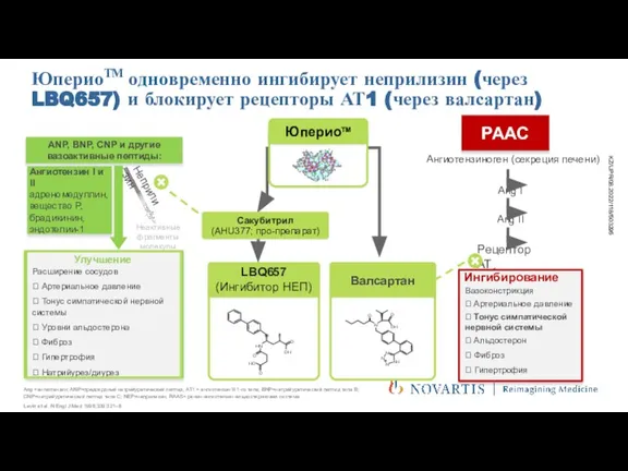 ЮпериоТМ одновременно ингибирует неприлизин (через LBQ657) и блокирует рецепторы АТ1 (через валсартан)