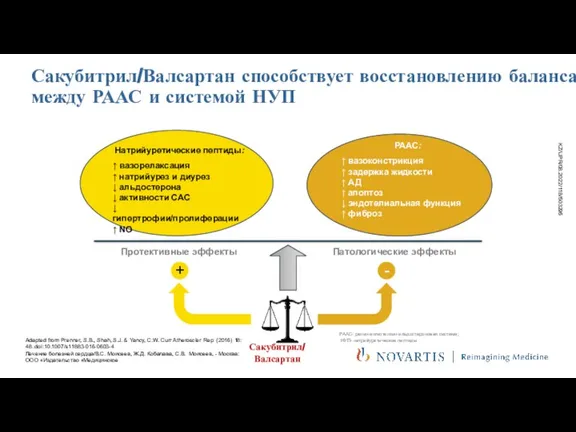 Сакубитрил/Валсартан способствует восстановлению баланса между РААС и системой НУП Протективные эффекты +