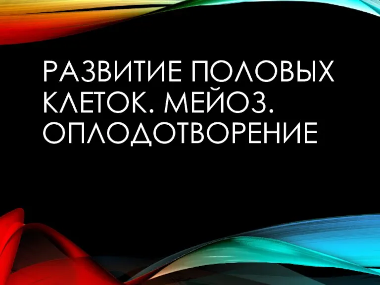 РАЗВИТИЕ ПОЛОВЫХ КЛЕТОК. МЕЙОЗ. ОПЛОДОТВОРЕНИЕ