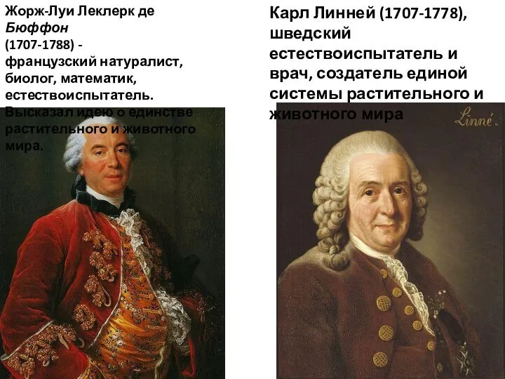 Жорж-Луи Леклерк де Бюффон (1707-1788) - французский натуралист, биолог, математик, естествоиспытатель. Высказал