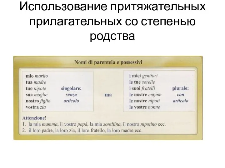 Использование притяжательных прилагательных со степенью родства