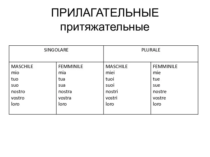 ПРИЛАГАТЕЛЬНЫЕ притяжательные