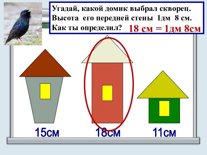 18см 15см 11см Угадай, какой домик выбрал скворец. Высота его передней стены