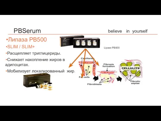 believe in yourself PBSerum Липаза PB500 SLIM / SLIM+ Расщепляет триглицериды. Снижает