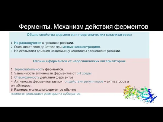 Общие свойства ферментов и неорганических катализаторов: 1. Не расходуются в процессе реакции.