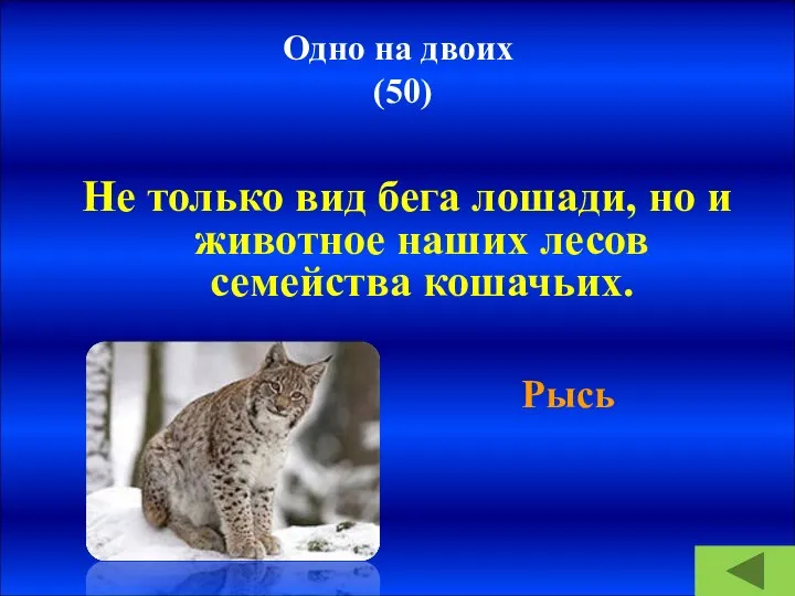 Одно на двоих (50) Не только вид бега лошади, но и животное