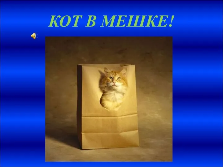 КОТ В МЕШКЕ!