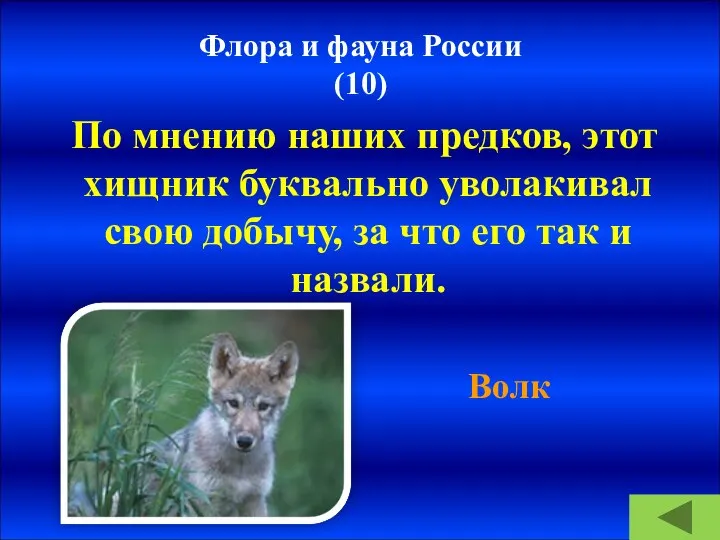 Флора и фауна России (10) По мнению наших предков, этот хищник буквально