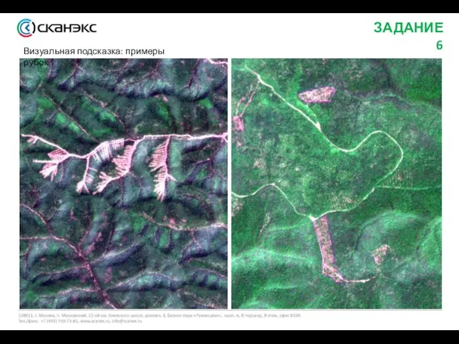 ЗАДАНИЕ 6 Визуальная подсказка: примеры рубок